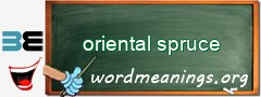 WordMeaning blackboard for oriental spruce